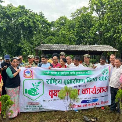 Dfo Chitwan 6